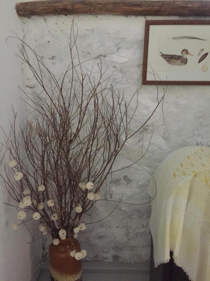 Hotel Dimitri Ada Evi & Restaurant İmroz Zewnętrze zdjęcie