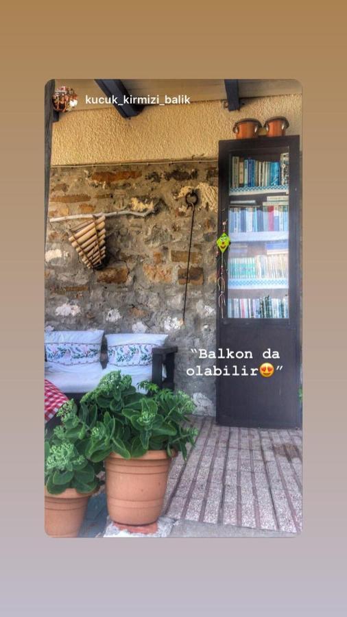 Hotel Dimitri Ada Evi & Restaurant İmroz Zewnętrze zdjęcie